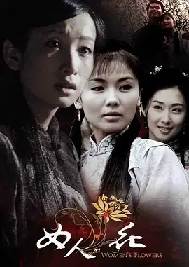 《女人花》:乱世浮萍,绽放坚韧女性之光