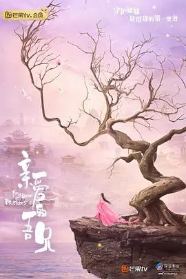 《亲爱的吾兄》影评:超越血缘,守护与牺牲的动人篇章